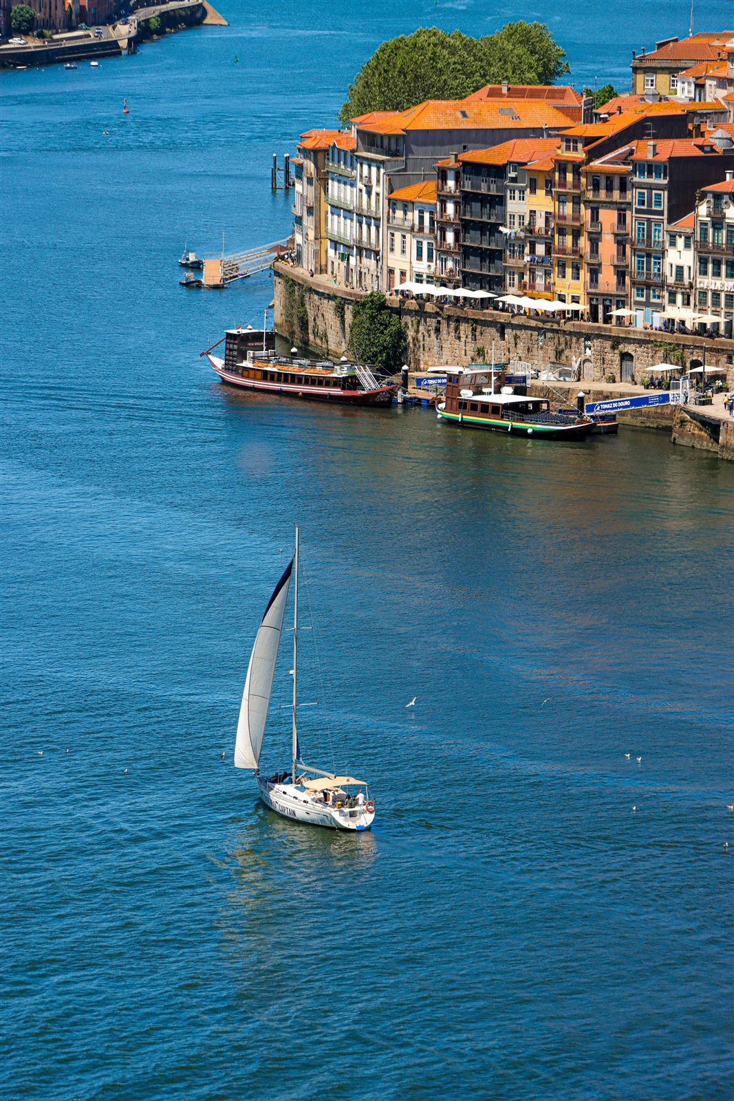 Sailboat on the Douro River in front of Porto's Ribeira