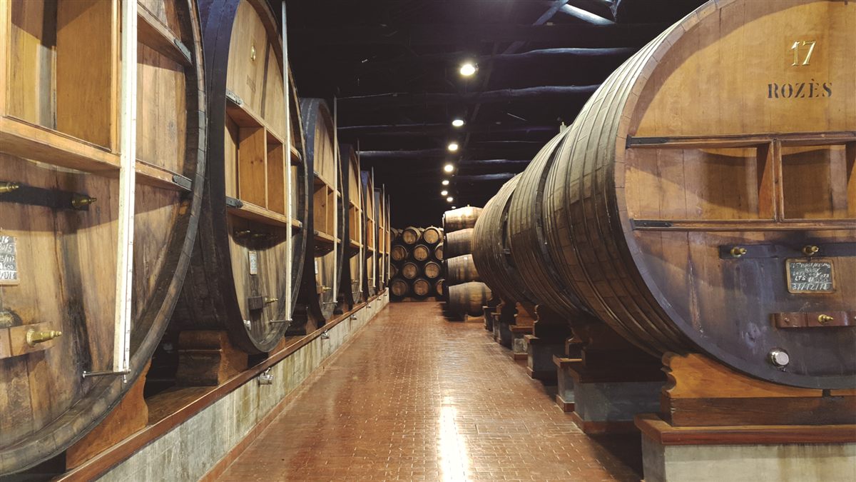 Port wine barrels in the Rozès cellars
